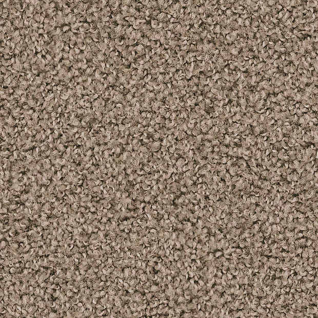 Ковролин Vorwerk Exclusive 1009 | Elara (Элара) 8L56...